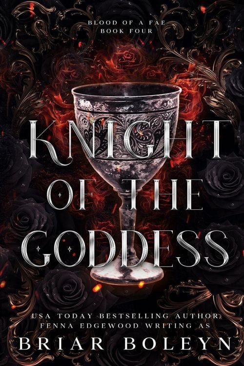 Produktbild: Knight of the Goddess