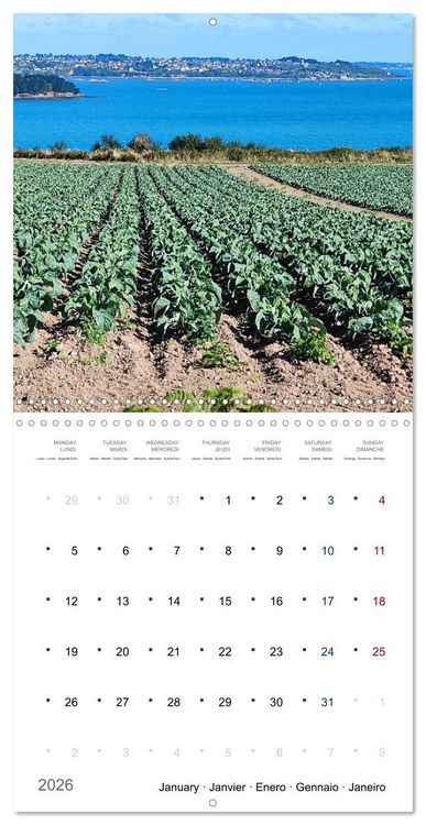 Produktbild: Les tr&eacute;sors de l'Armor (Calendrier mural carr&eacute; 2026 30x30 cm) Calendrier double avec une page pour vos prises de notes