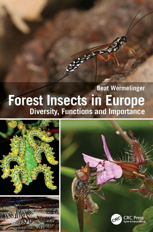 Produktbild: Forest Insects in Europe