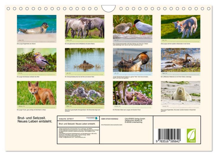 Produktbild: Brut- und Setzzeit. Neues Leben entsteht. (Wandkalender 2026 DIN A4 quer), CALVENDO Monatskalender