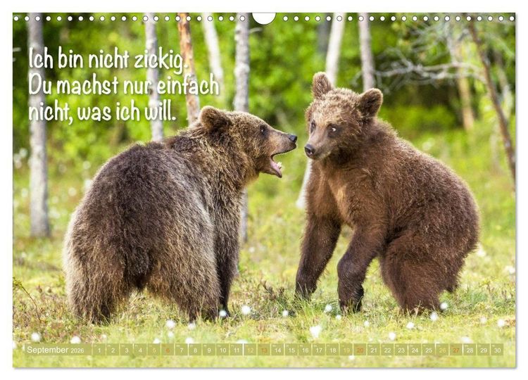 Produktbild: Spa&szlig; mit B&auml;ren: Edition lustige Tiere (Wandkalender 2026 DIN A3 quer), CALVENDO Monatskalender