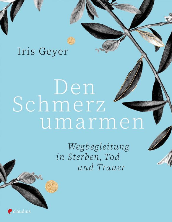 Produktbild: Den Schmerz umarmen