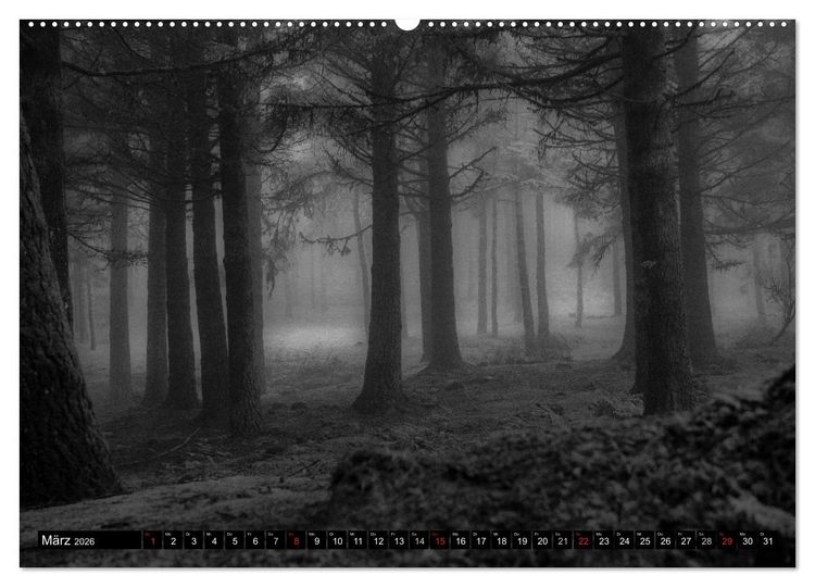 Produktbild: Stille Momente in Schwarz-Weiss (hochwertiger Premium Wandkalender 2026 DIN A2 quer), Kunstdruck in Hochglanz