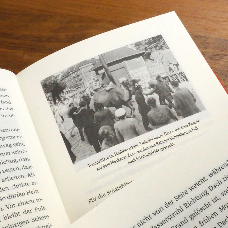 Produktbild: Der Zoo der Anderen