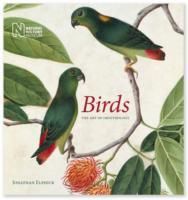 Produktbild: Elphick, J: Birds