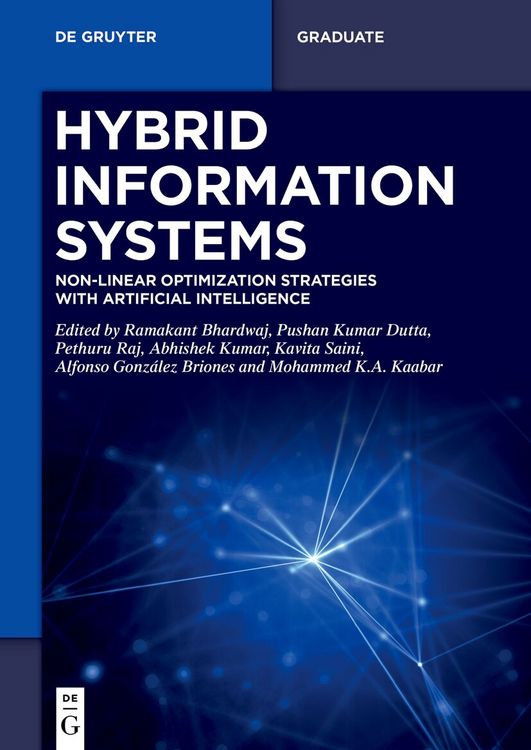 Produktbild: Hybrid Information Systems