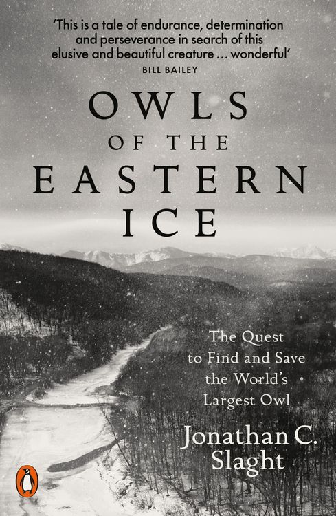 Produktbild: Owls of the Eastern Ice