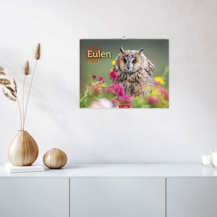Produktbild: Eulen Kalender 2027