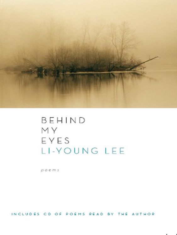 Produktbild: Behind My Eyes