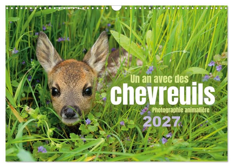 Produktbild: Un an avec des chevreuils (Calendrier mural 2027 DIN A3 vertical), CALVENDO calendrier mensuel