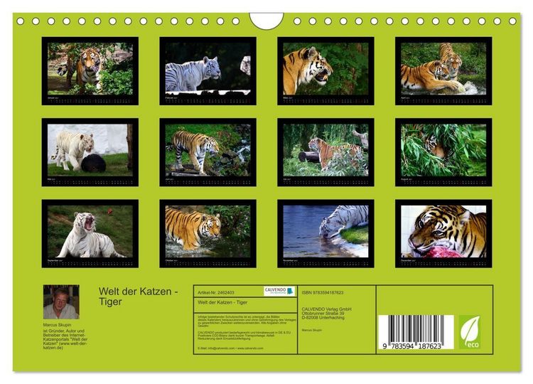 Produktbild: Welt der Katzen - Tiger (Wandkalender 2027 DIN A4 quer), CALVENDO Monatskalender