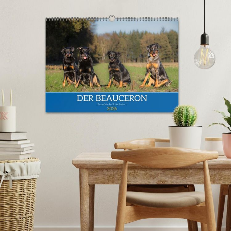Produktbild: Der Beauceron (Wandkalender 2026 DIN A3 quer), CALVENDO Monatskalender