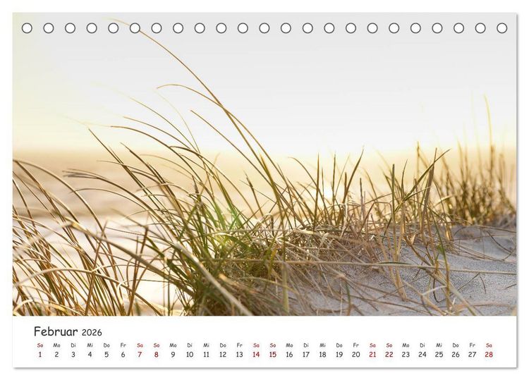 Produktbild: D&uuml;nen und Meer Nordseemomente (Tischkalender 2026 DIN A5 quer), CALVENDO Monatskalender