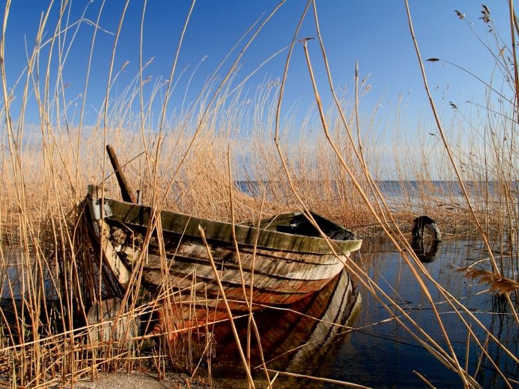 Produktbild: CALVENDO Puzzle Altes Boot im Schilf | 1000 Teile Lege-Gr&ouml;&szlig;e 64x48cm Foto-Puzzle f&uuml;r gl&uuml;ckliche Stunden