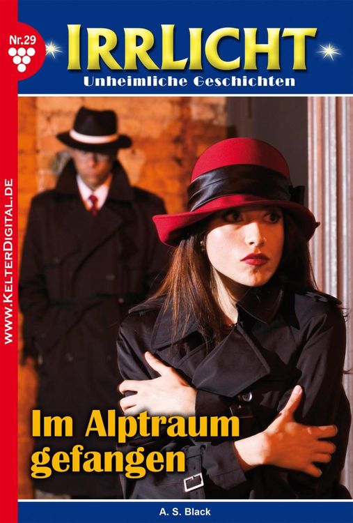 Bild vom Artikel Irrlicht 29 - Mystikroman vom Autor A. S. Black