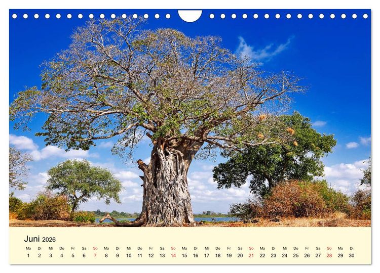 Produktbild: Traumhaftes Malawi (Wandkalender 2026 DIN A4 quer), CALVENDO Monatskalender