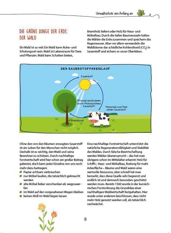 Produktbild: Die Kita-Umwelt-Retter: Wald, Wiese & Insekten