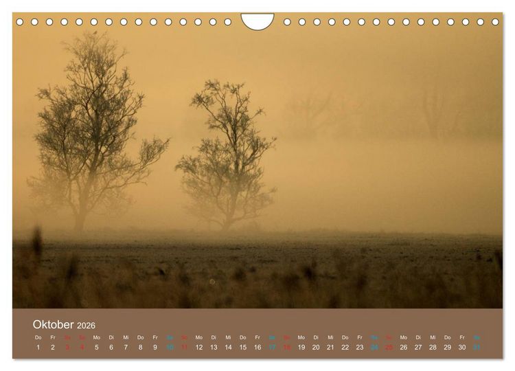 Produktbild: Fasziantion Natur (Wandkalender 2026 DIN A4 quer), CALVENDO Monatskalender