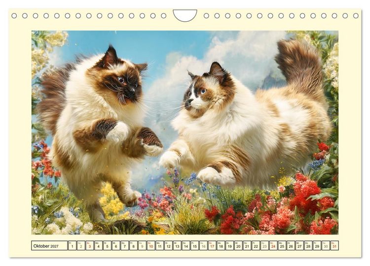 Produktbild: Sch&ouml;ne Katzen. Beliebte Samtpfoten im Garten (Wandkalender 2027 DIN A4 quer), CALVENDO Monatskalender