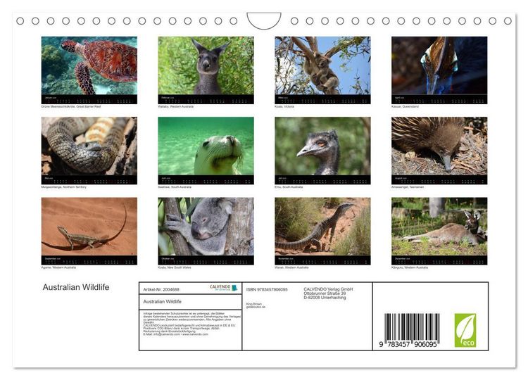 Produktbild: Australian Wildlife (Wandkalender 2026 DIN A4 quer), CALVENDO Monatskalender
