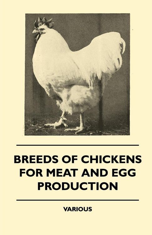 Produktbild: Breeds of Chickens for Meat and Egg Production