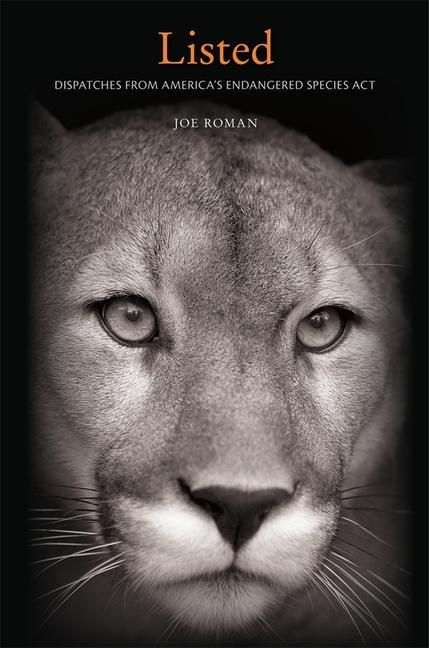 Produktbild: Roman, J: Listed
