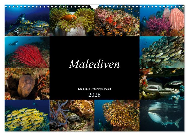 Produktbild: Malediven - Die bunte Unterwasserwelt (Wandkalender 2026 DIN A3 quer), CALVENDO Monatskalender