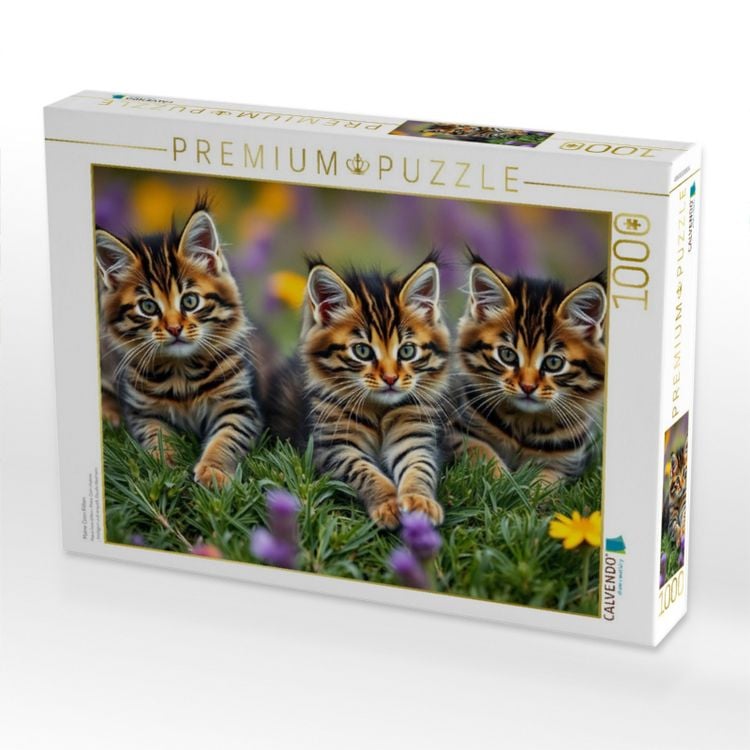 Produktbild: CALVENDO Puzzle Maine Coon Kitten | 1000 Teile Lege-Gr&ouml;&szlig;e 64x48cm Foto-Puzzle f&uuml;r gl&uuml;ckliche Stunden