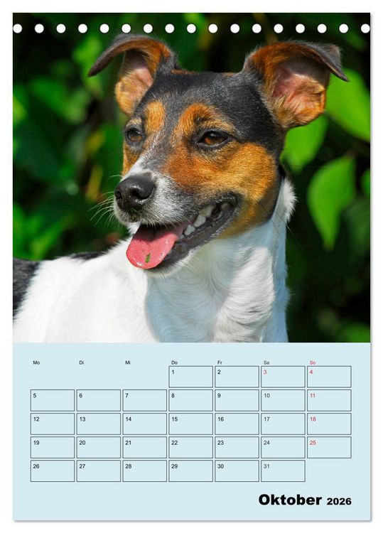 Produktbild: Familienplaner Jack und Parson Russell Terrier (Tischkalender 2026 DIN A5 hoch), CALVENDO Monatskalender