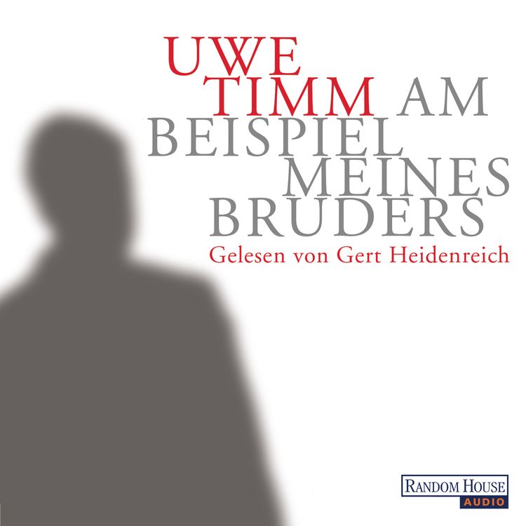 Produktbild: Am Beispiel meines Bruders