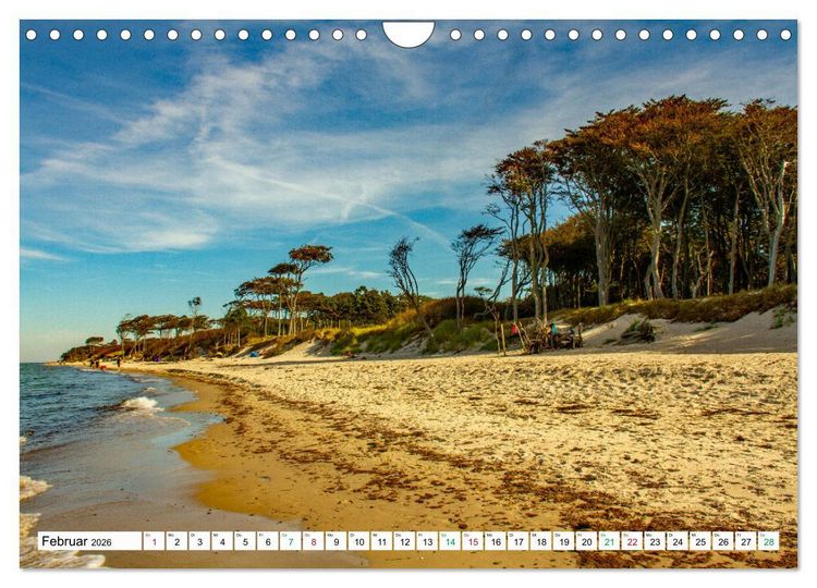 Produktbild: Dar&szlig;er Weststrand - Fischland Dar&szlig; Zingst (Wandkalender 2026 DIN A4 quer), CALVENDO Monatskalender