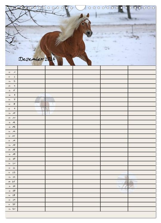Produktbild: Haflinger Pferde - Stall- und Familienplaner 2026 (Wandkalender 2026 DIN A3 hoch), CALVENDO Monatskalender