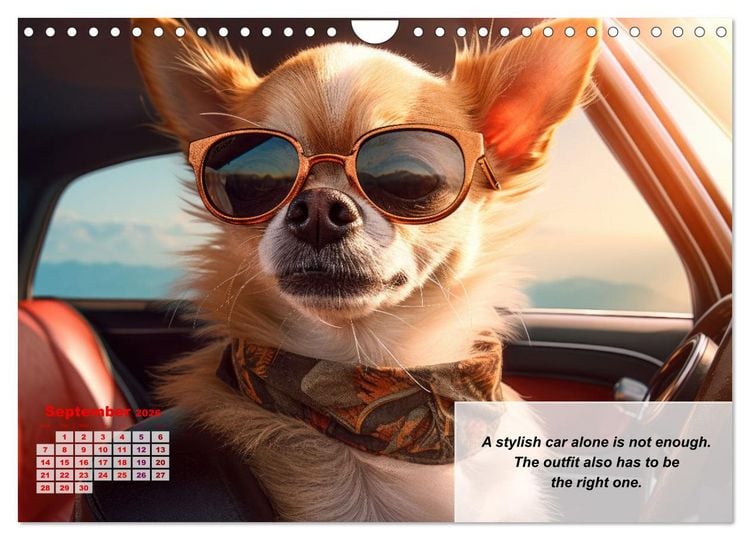 Produktbild: Great fun for Chihuahua lovers (Wall Calendar 2026 DIN A4 landscape), CALVENDO 12 Month Wall Calendar