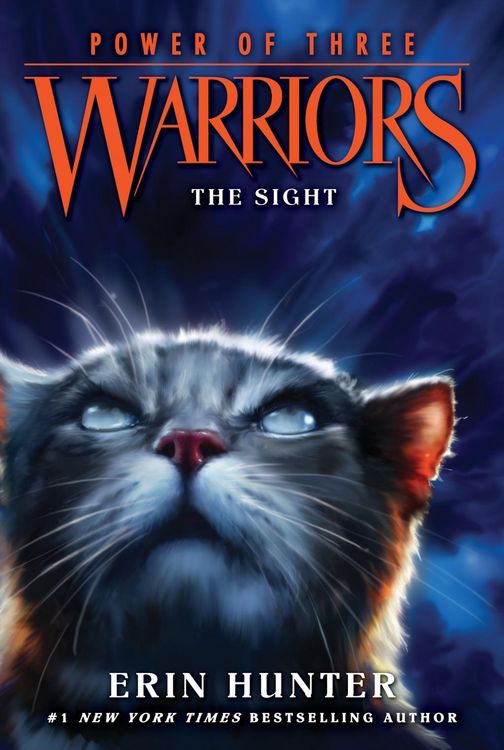 Produktbild: Warriors: Power of Three #1: The Sight