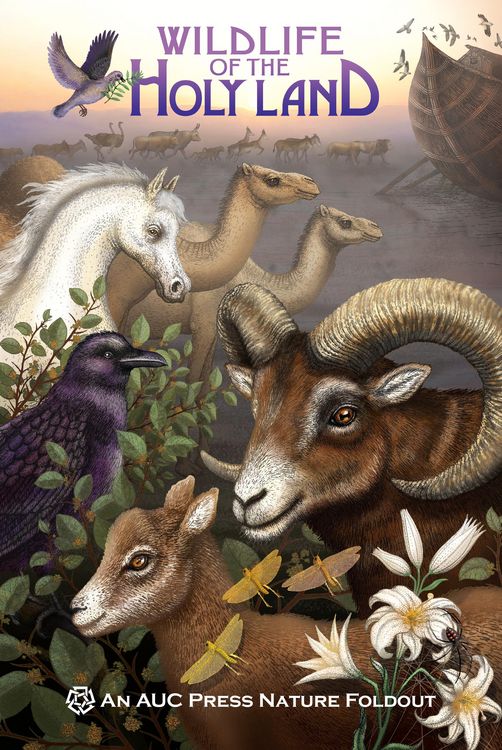 Produktbild: Wildlife of the Holy Land