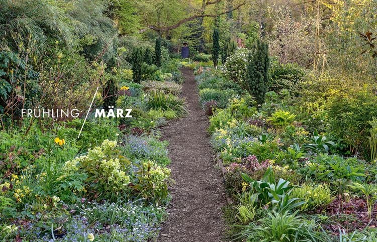 Produktbild: Peter Janke: Mein Garten im Wandel des Zeitgeistes und des Klimas