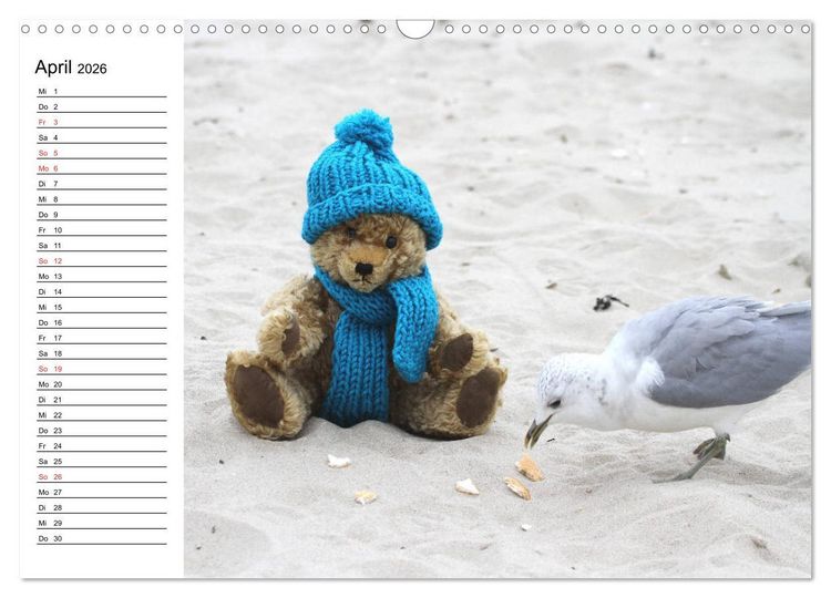 Produktbild: Teddy unterwegs (Wandkalender 2026 DIN A3 quer), CALVENDO Monatskalender