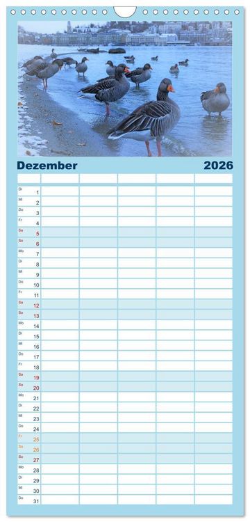 Produktbild: Familienplaner 2026 - Luzern, die Stadt im Zentrum der Schweiz mit 5 Spalten (Wandkalender, 21 x 45 cm) CALVENDO