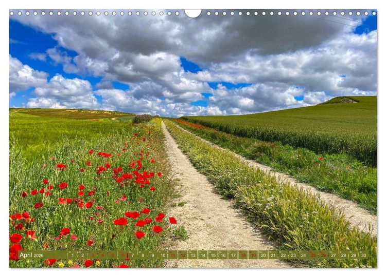 Produktbild: Augenblicke der Ruhe (Wandkalender 2026 DIN A3 quer), CALVENDO Monatskalender
