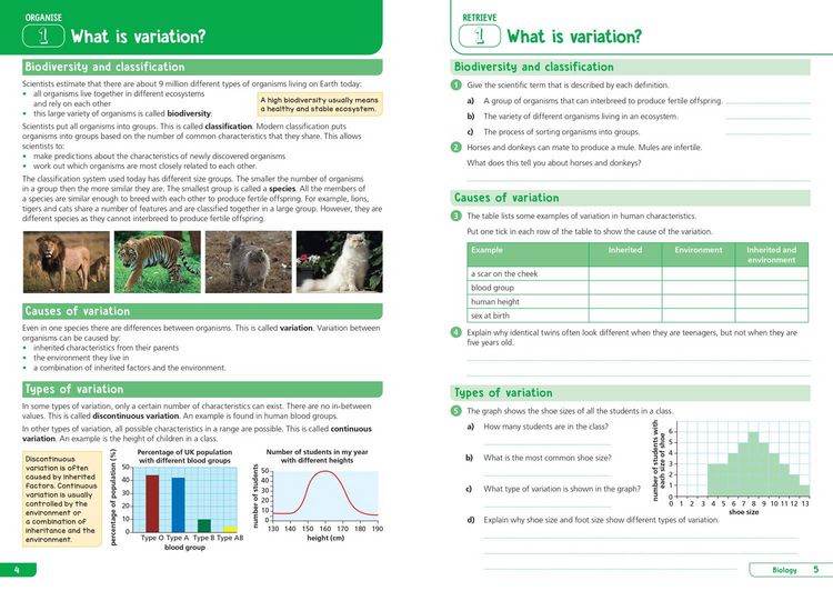 Produktbild: KS3 Science Year 9: Organise and retrieve your knowledge