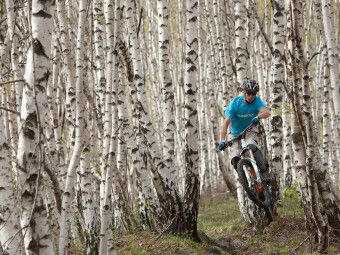 Produktbild: CALVENDO Puzzle Birkenbiker | 1000 Teile Lege-Gr&ouml;&szlig;e 64x48cm Foto-Puzzle f&uuml;r gl&uuml;ckliche Stunden
