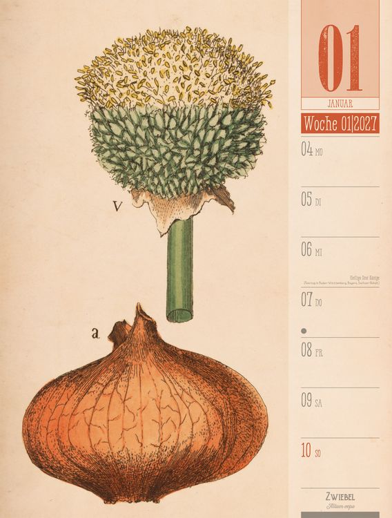 Produktbild: Culinarium Wochenplaner Kalender 2027 | K&uuml;che, Kr&auml;uter, Kurioses