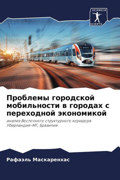 Produktbild: Problemy gorodskoj mobil'nosti w gorodah s perehodnoj &auml;konomikoj