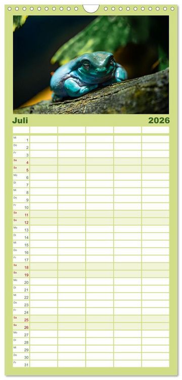 Produktbild: Familienplaner 2026 - Reptilien & Amphibien Portraits mit 5 Spalten (Wandkalender, 21 x 45 cm) CALVENDO