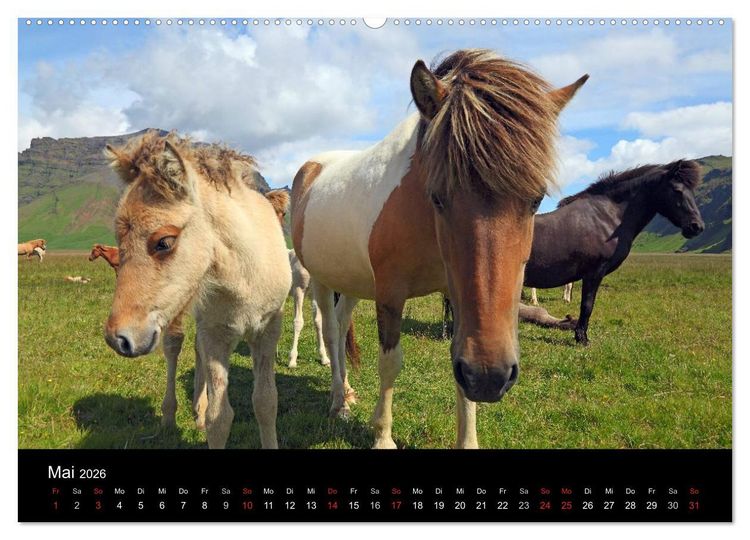 Produktbild: Island - Iceland (hochwertiger Premium Wandkalender 2026 DIN A2 quer), Kunstdruck in Hochglanz