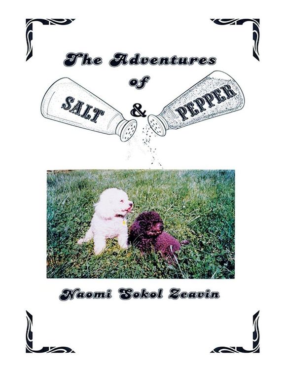 Produktbild: The Adventures of Salt & Pepper