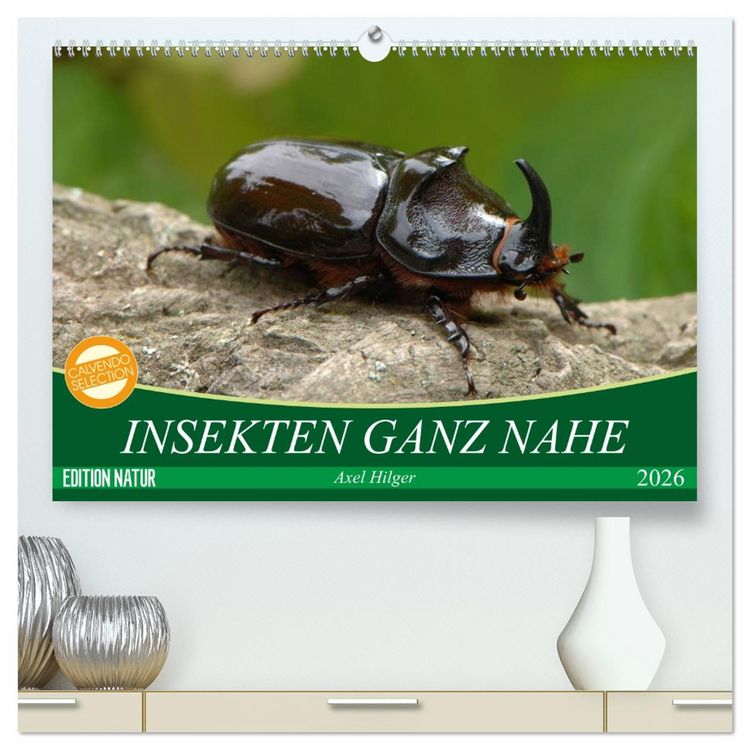 Produktbild: INSEKTEN GANZ NAHE (hochwertiger Premium Wandkalender 2026 DIN A2 quer), Kunstdruck in Hochglanz