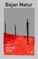Produktbild: Ayin B&uuml;y&uuml;tt&uuml;g&uuml; Ogullar