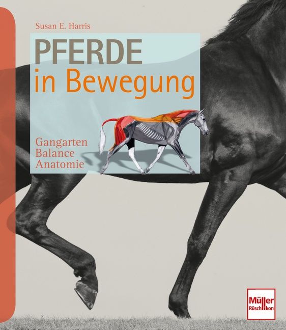 Produktbild: Pferde in Bewegung