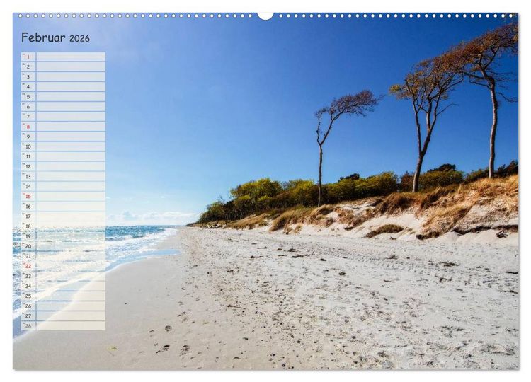 Produktbild: Lichtspiele auf der Halbinsel Dar&szlig; (Wandkalender 2026 DIN A2 quer), CALVENDO Monatskalender